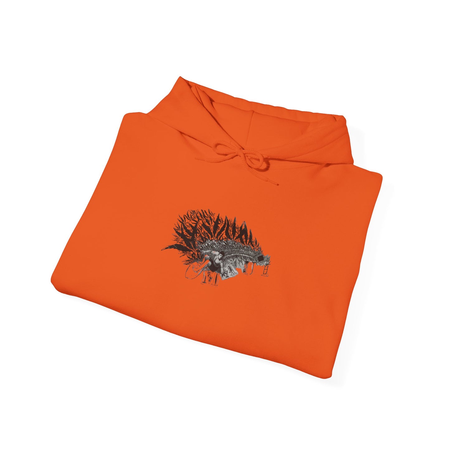 Unisex Heavy Blend™ Hooded Sweatshirt